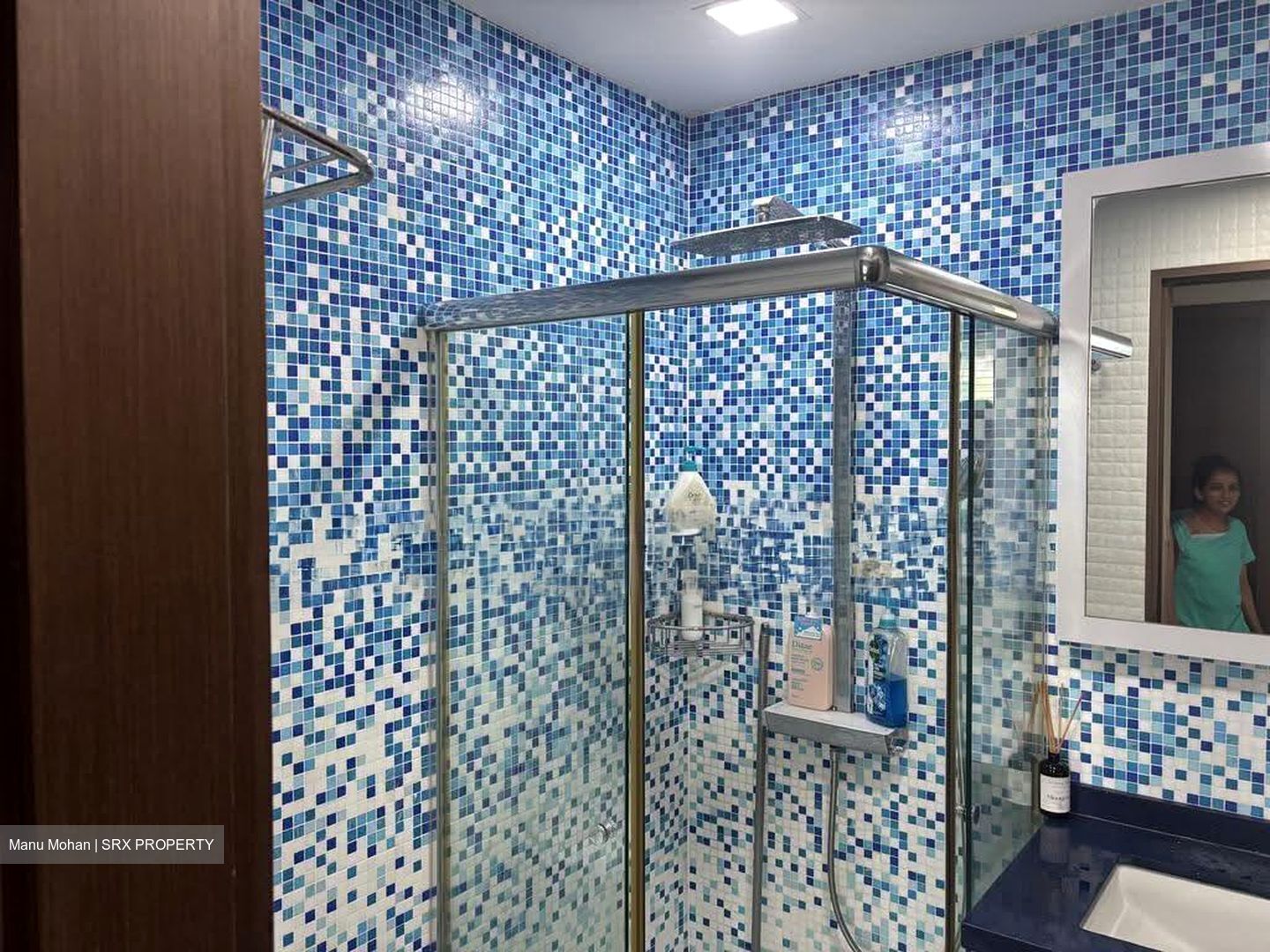 Haig Court (D15), Condominium #630621781